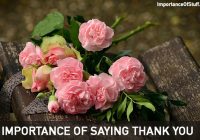 importance of saying thank you