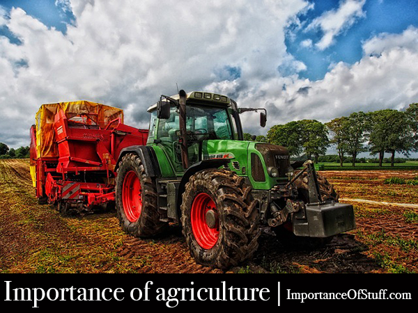 importance of agriculture