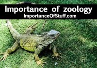 importance of zoology