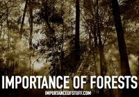 importance of forests