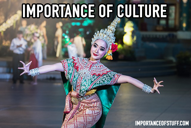 Importance of culture in our life Essay and speech