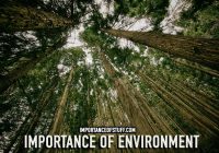 importance of environment