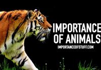 importance of animal