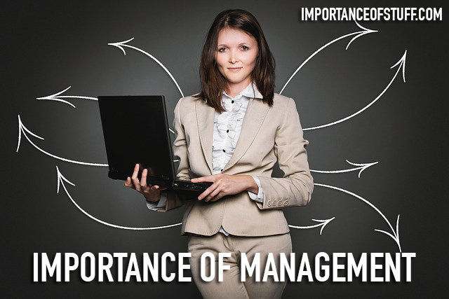 importance of management