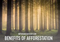 benefits of afforestation