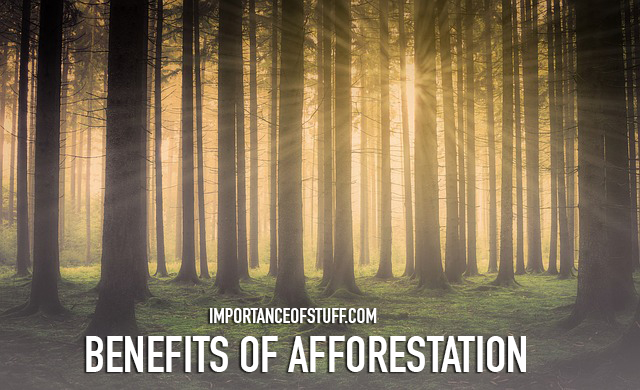 benefits of afforestation