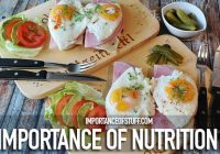 importance of nutrition