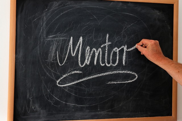 importance of mentor in life