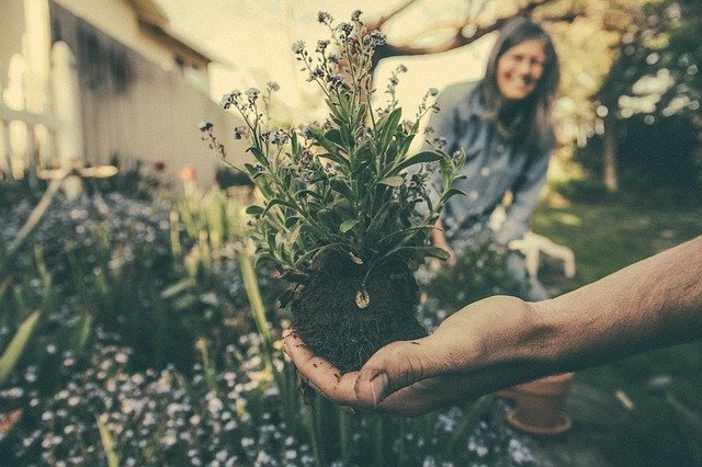 importance of gardening