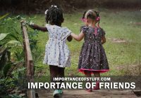 importance of friends