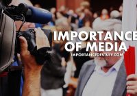 importance of media