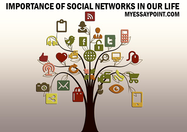importance of social network