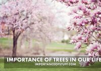 importance of trees