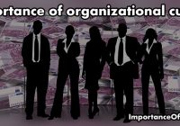 organization culture importance