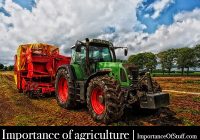 importance of agriculture