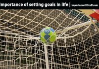 importance of goals in life