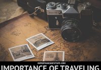 importance of traveling