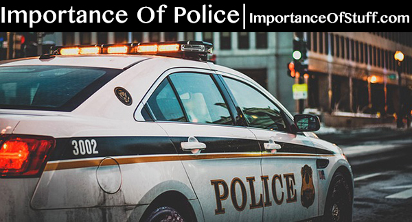 importance of police department essay