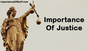 What is the importance of justice? Essay and speech