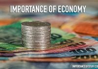 importance of economics