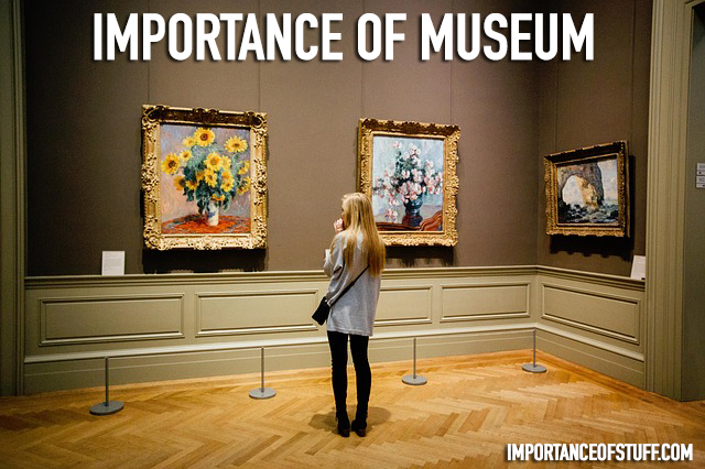 importance of museum