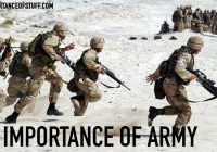 importance of army