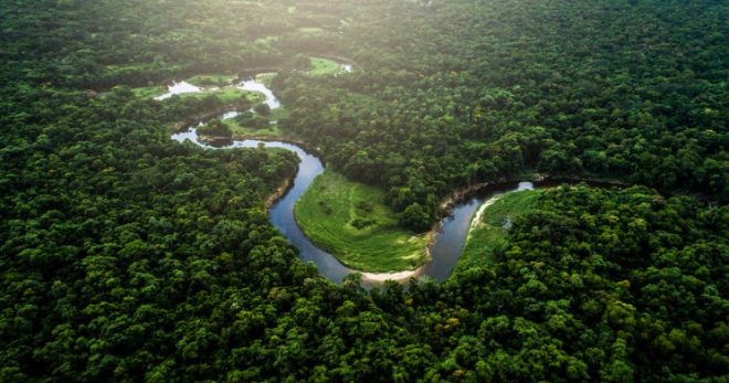 Importance Of Amazon Rainforest - Essay and speech