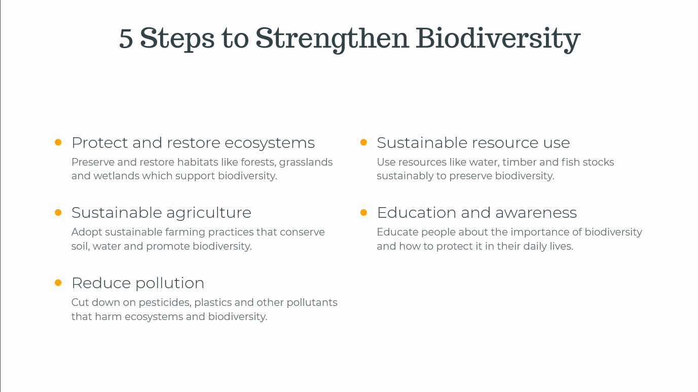 5 Steps to Strengthen Biodiversity slides and pdf - Importance of Biodiversity