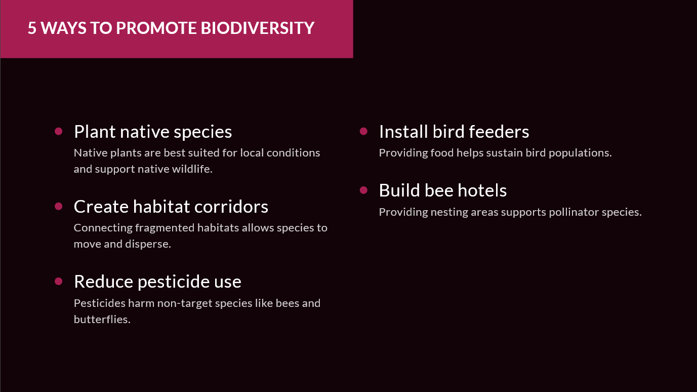 5 Ways to Promote Biodiversity slides and pdf - Importance of Biodiversity