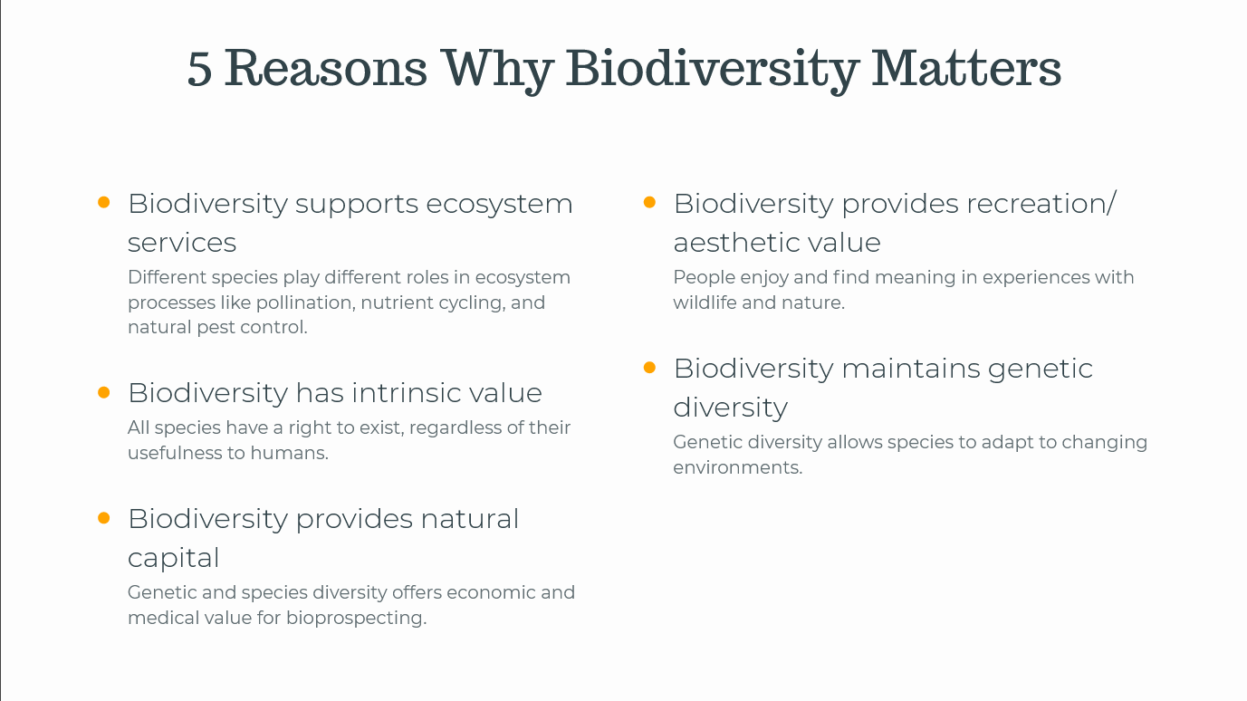 Top 5 Reasons Why Biodiversity Matters slides and pdf - Importance of Biodiversity